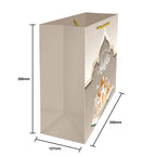 Raya Festive Paper Bag Size M dimensions for wholesale order Malaysia