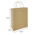 Brown Twisted Handle Paper Bag Size M (TH09) - 240 X 120 X 300 mm dimensions for wholesale order Malaysia