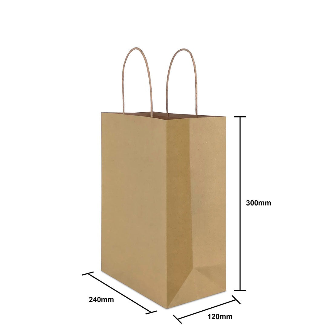 Brown Twisted Handle Paper Bag Size M (TH09) - 240 X 120 X 300 mm dimensions for wholesale order Malaysia