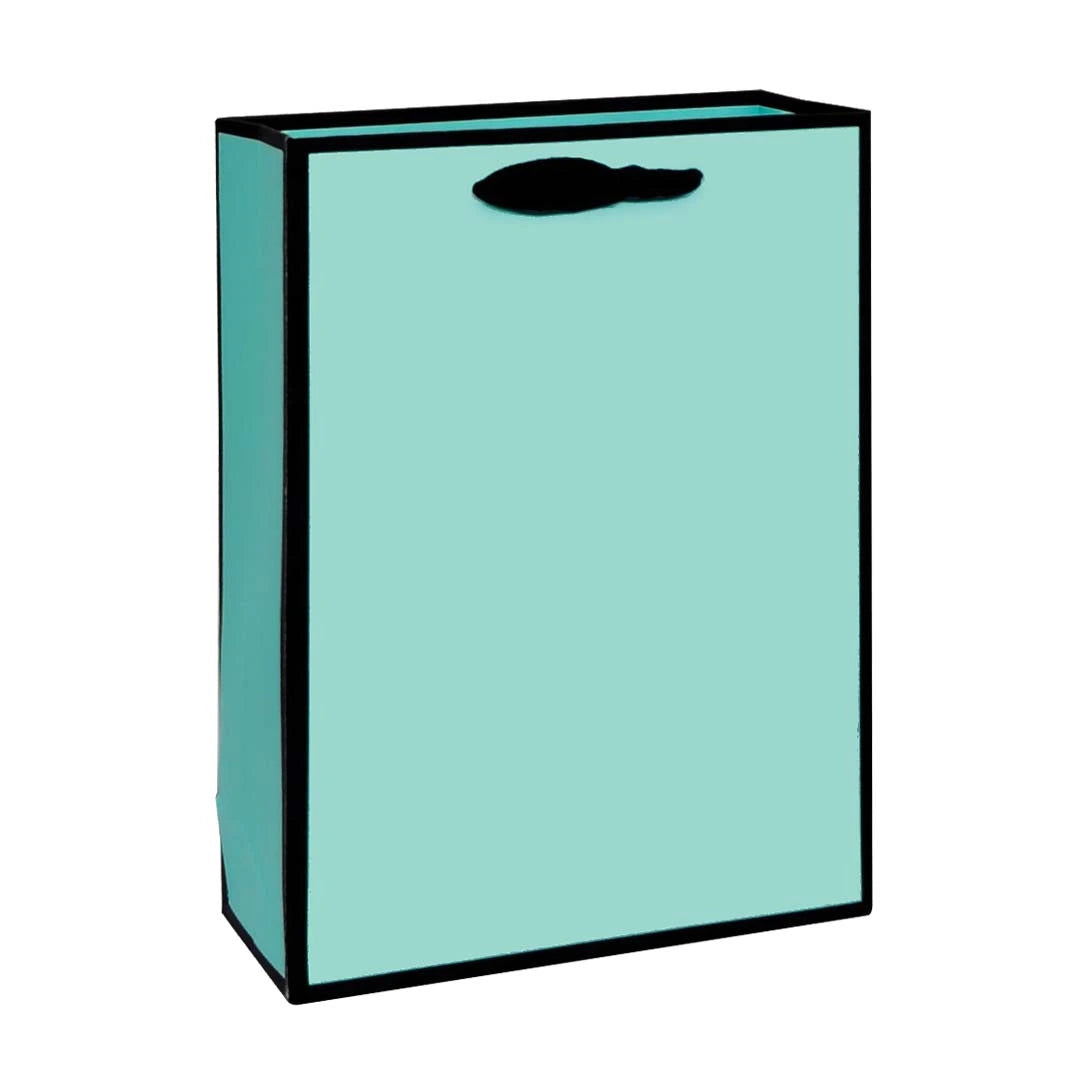 Pastel Matte Paper Bag - Green variant for doorgift packaging Malaysia