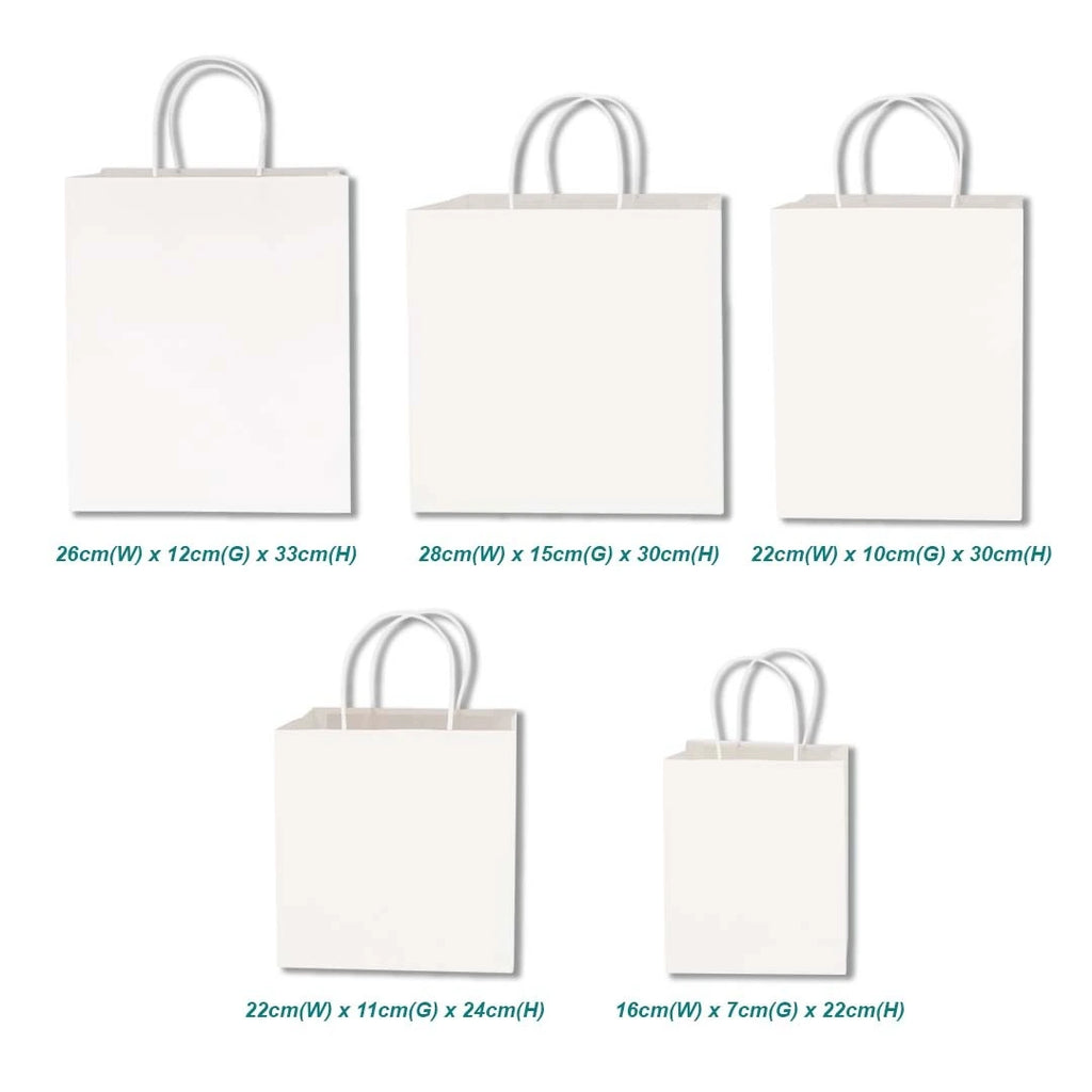 White Twisted Handle Paper Bag variation size for doorgift packaging - wholesale Malaysia