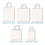 White Twisted Handle Paper Bag variation size for doorgift packaging - wholesale Malaysia