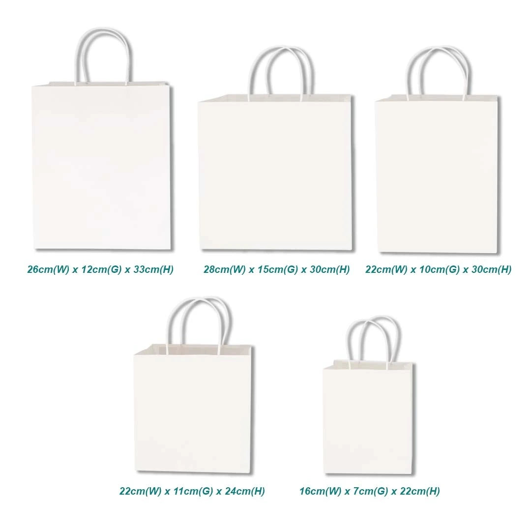 White Twisted Handle Paper Bag variation size for doorgift packaging - wholesale Malaysia