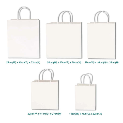 White Twisted Handle Paper Bag variation size for doorgift packaging - wholesale Malaysia